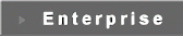 Enterprise