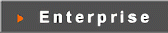 Enterprise