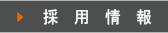 ̗p