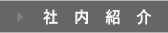 ЊTv