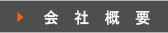 ЊTv